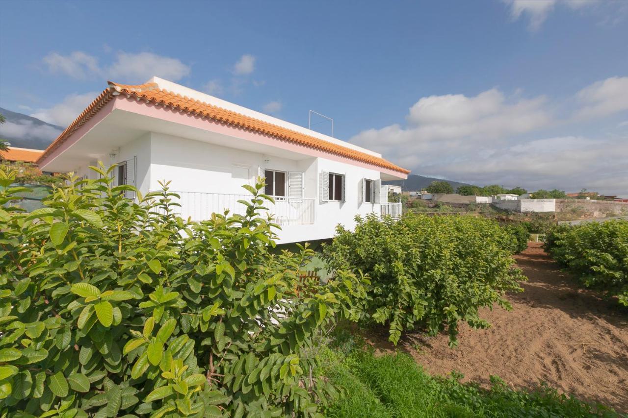 Villa Clemente House,Private Pool Arafo Exterior foto
